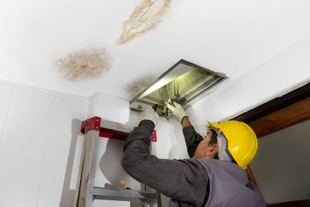 Commercial Mold Remediation commercial mold remediation