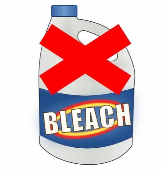 Professional Mold Remedition