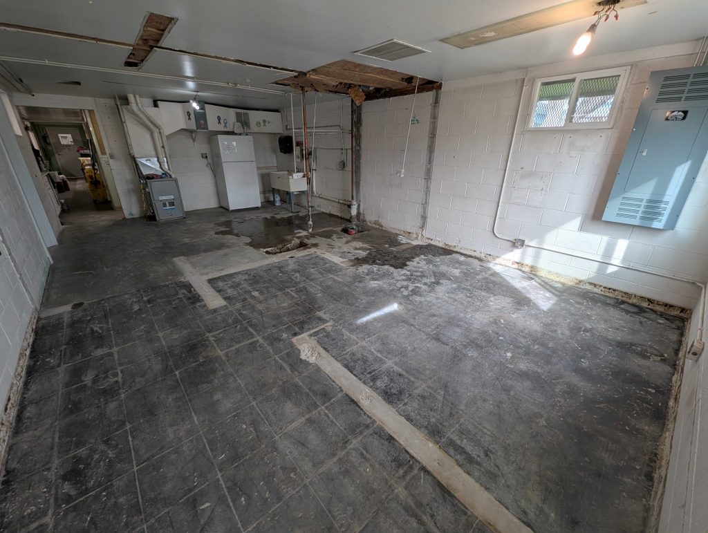  selective demolition 