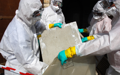 Lead Paint and Asbestos Abatement: Why Licensed Professionals Should Handle Hazardous Materials