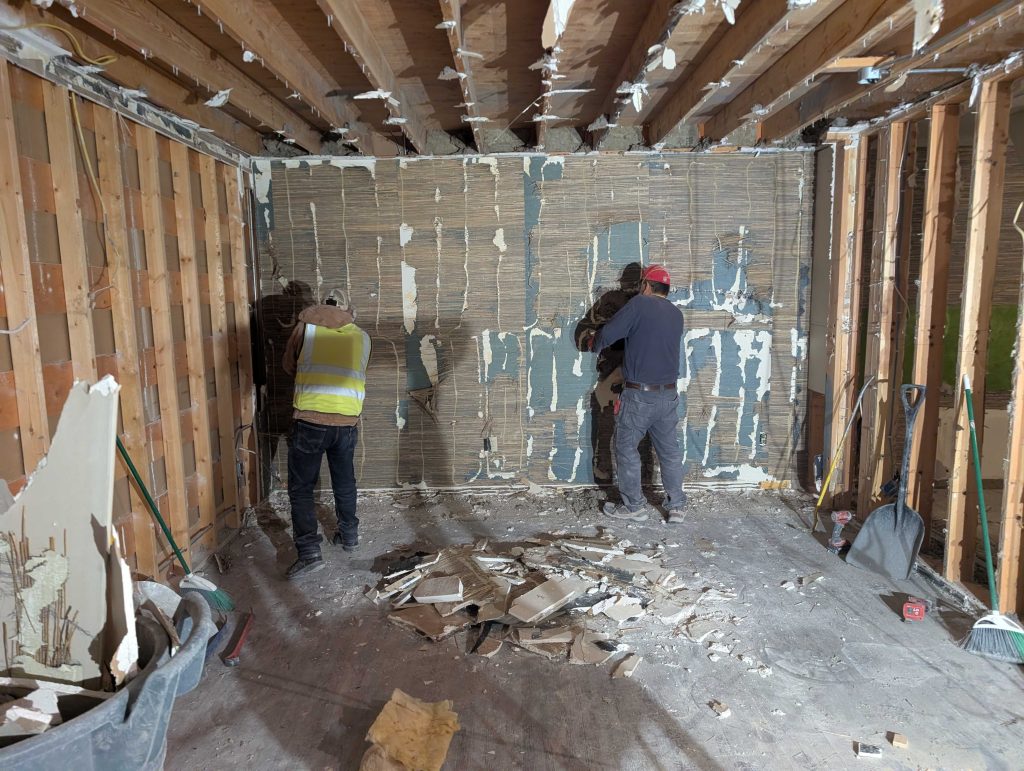 Mold Remediation During Remodeling or Demolition Projects mold removal and remediation