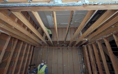 Mold Removal: What Property Owners Should Know Before Cleanup Begins